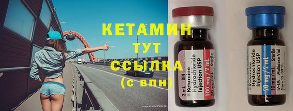 сатива Вяземский