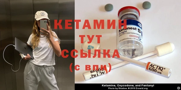 сатива Вяземский