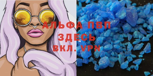 круглые Осинники