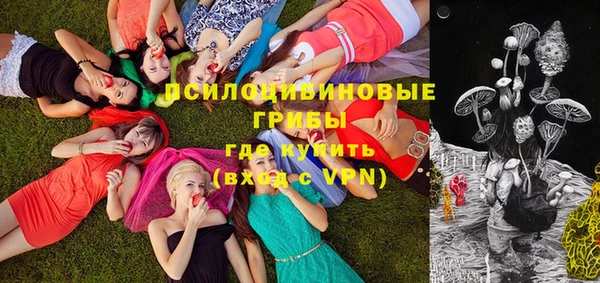 сатива Вяземский