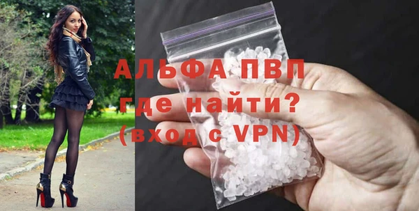 сатива Вяземский