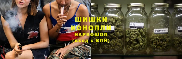 сатива Вяземский