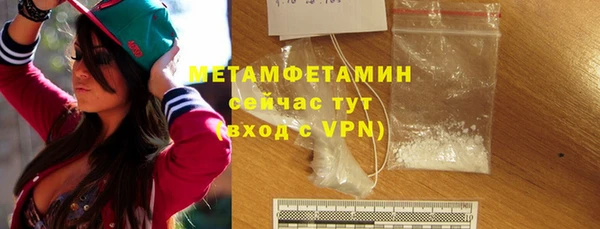сатива Вяземский
