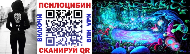 Псилоцибиновые грибы Cubensis  Дальнереченск 